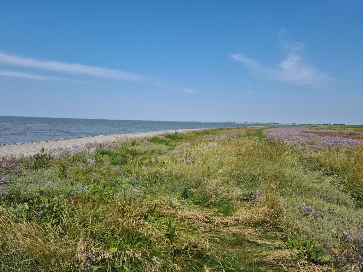 Haus Meererleben - Urlaub Mit Hund An Der Nordsee Schweiburg ภายนอก รูปภาพ