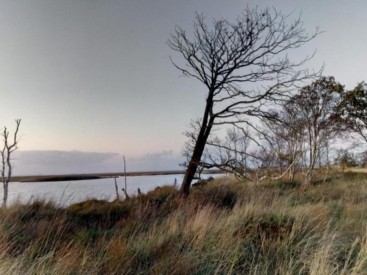 Haus Meererleben - Urlaub Mit Hund An Der Nordsee Schweiburg ภายนอก รูปภาพ