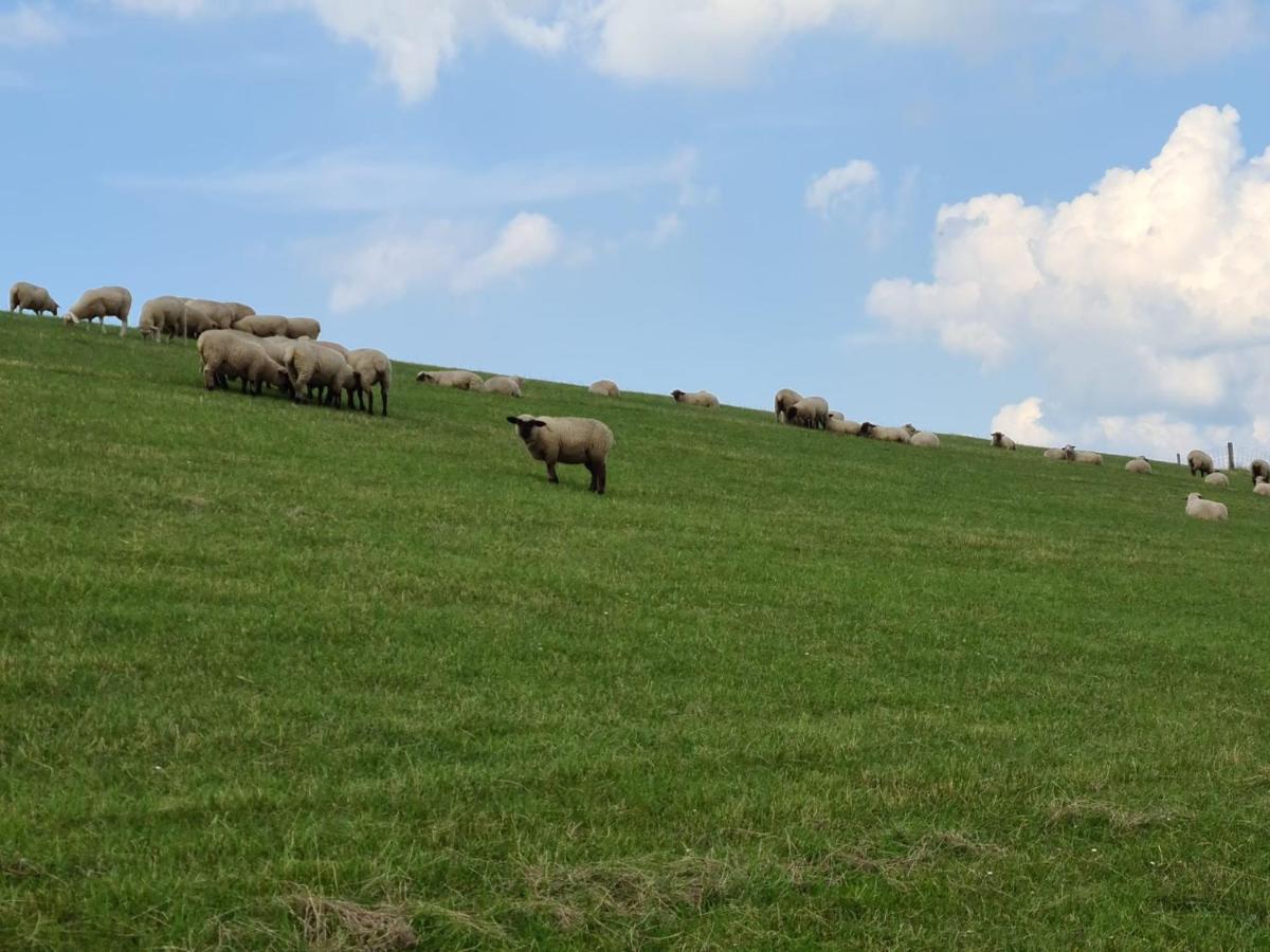 Haus Meererleben - Urlaub Mit Hund An Der Nordsee Schweiburg ภายนอก รูปภาพ
